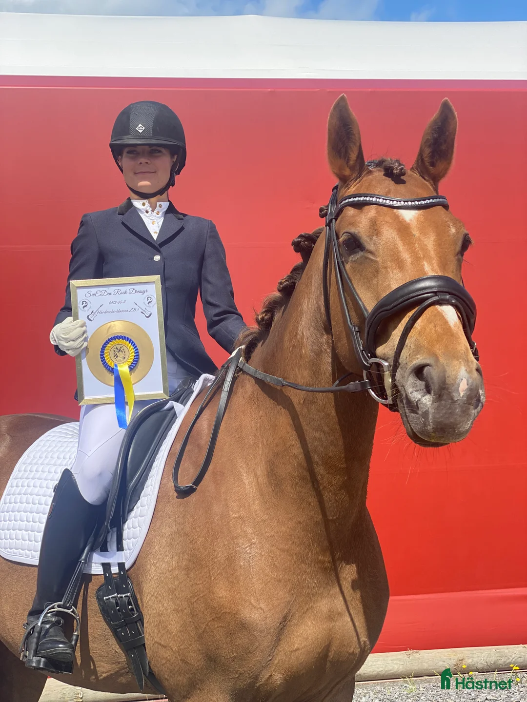 Allround hästar till salu: Lyxig hobbyhäst i Skepplanda - Annons 2