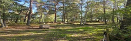 stallplats finnes: Stallplats Sollentuna i Sollentuna - Annons 1