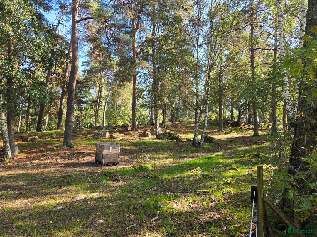  stallplats finnes: Stallplats Sollentuna i Sollentuna - Annons 1