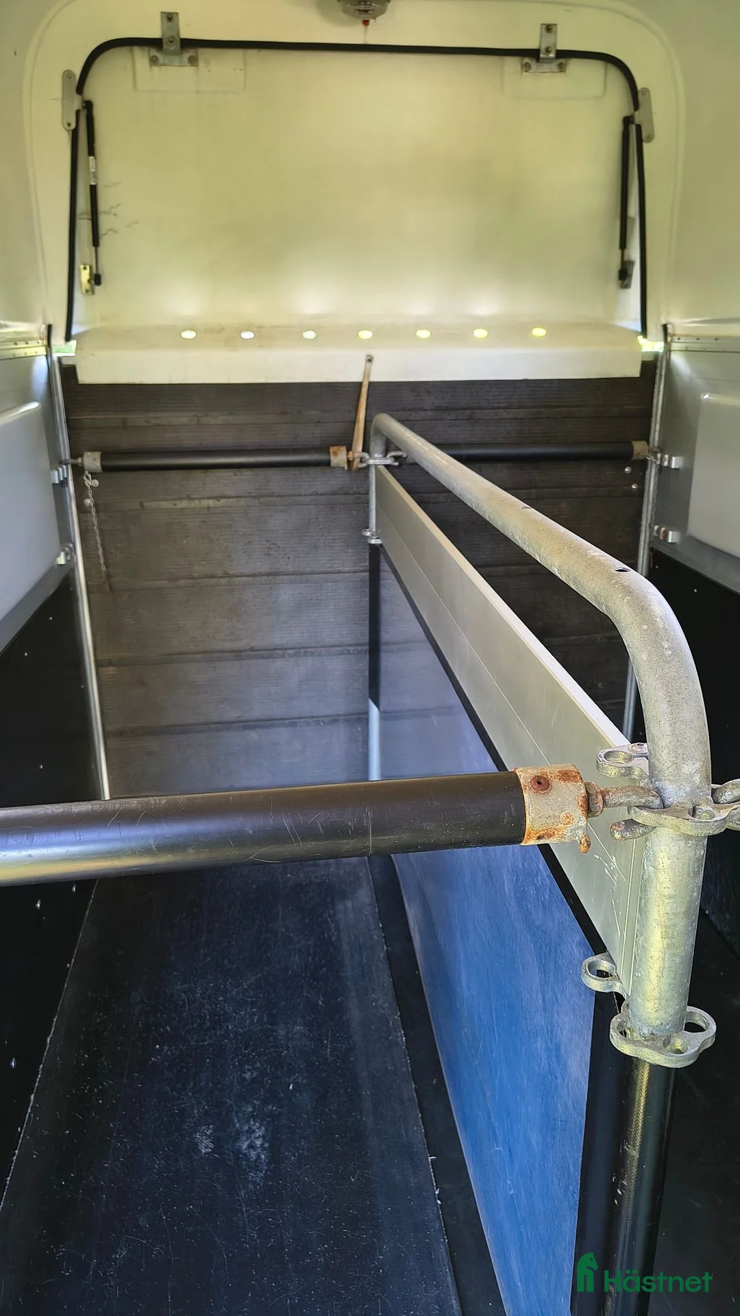 Hästtransporter  fordon & transport till salu: Cheval Liberté Gold Pullman V2 -16 - Annons 8