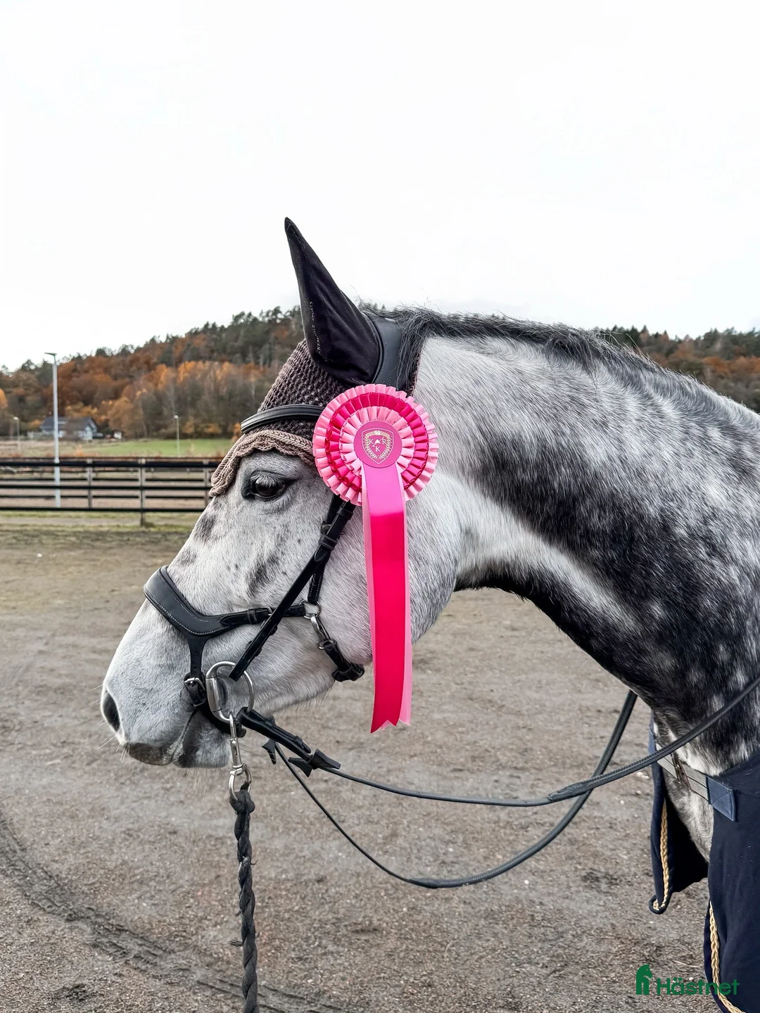 Galleribild {{count}}