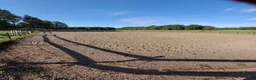  stallplats finnes: Stallplats Grän stallängen  - Annons 2