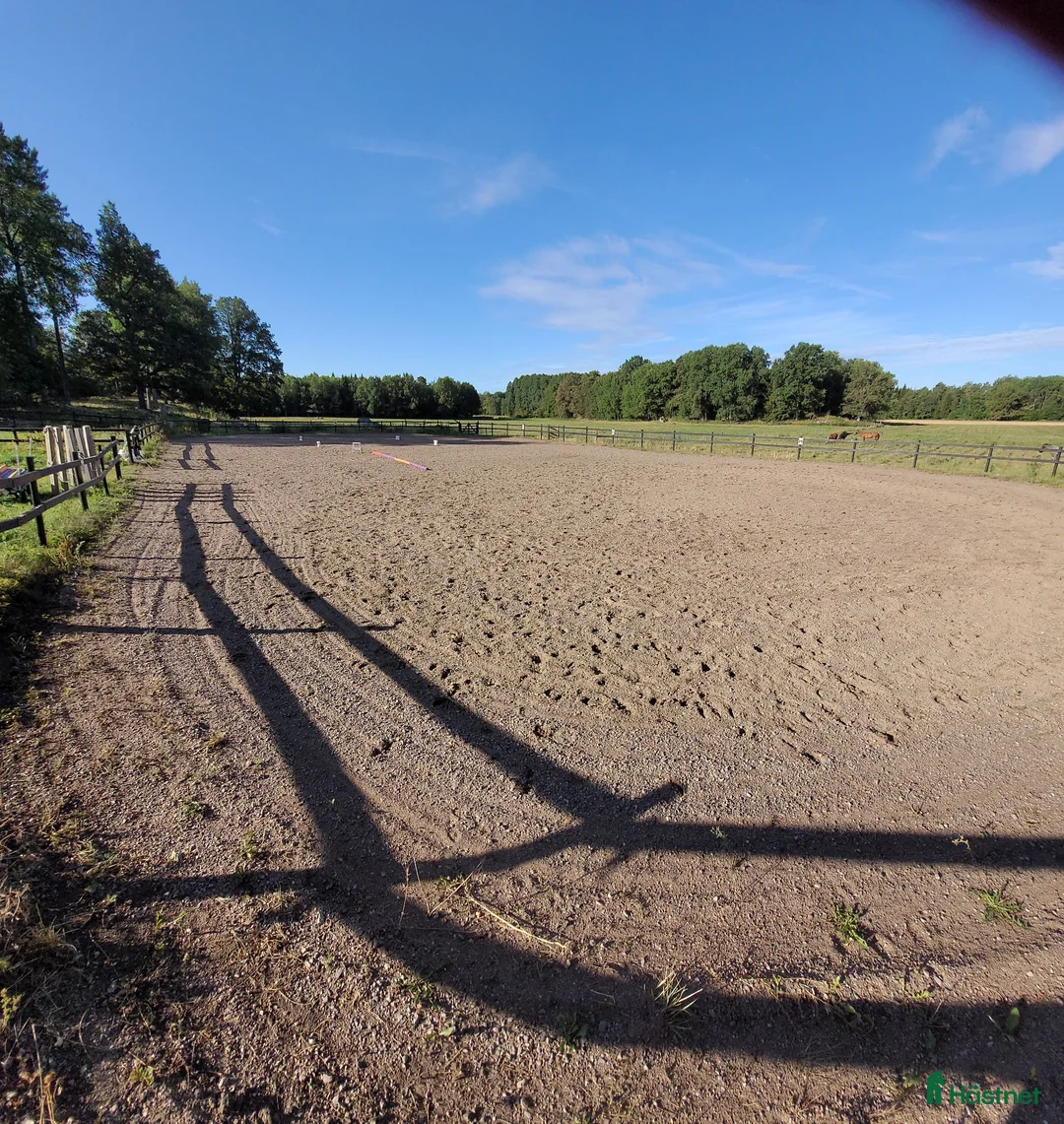  stallplats finnes: Stallplats Grän stallängen  - Annons 2