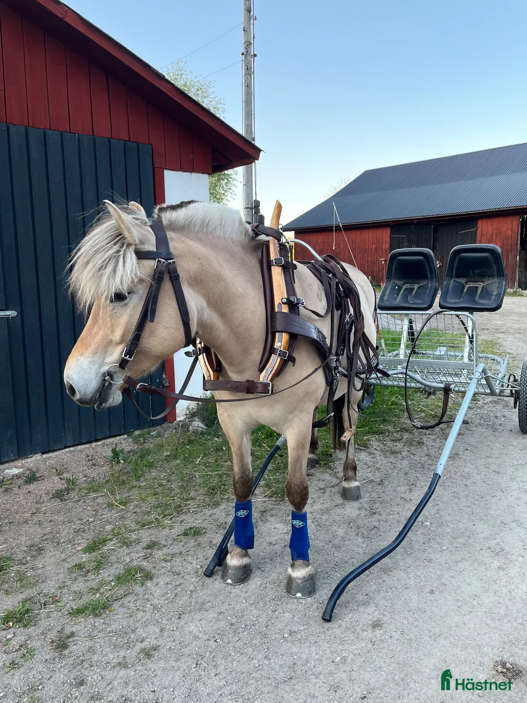 Körselar körning till salu: Loksele m alla tillbehör  - Annons 1