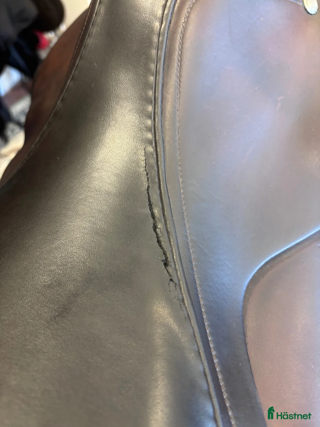 Sadlar hästutrustning till salu: Amerigo Alto 🌸 - Annons 3