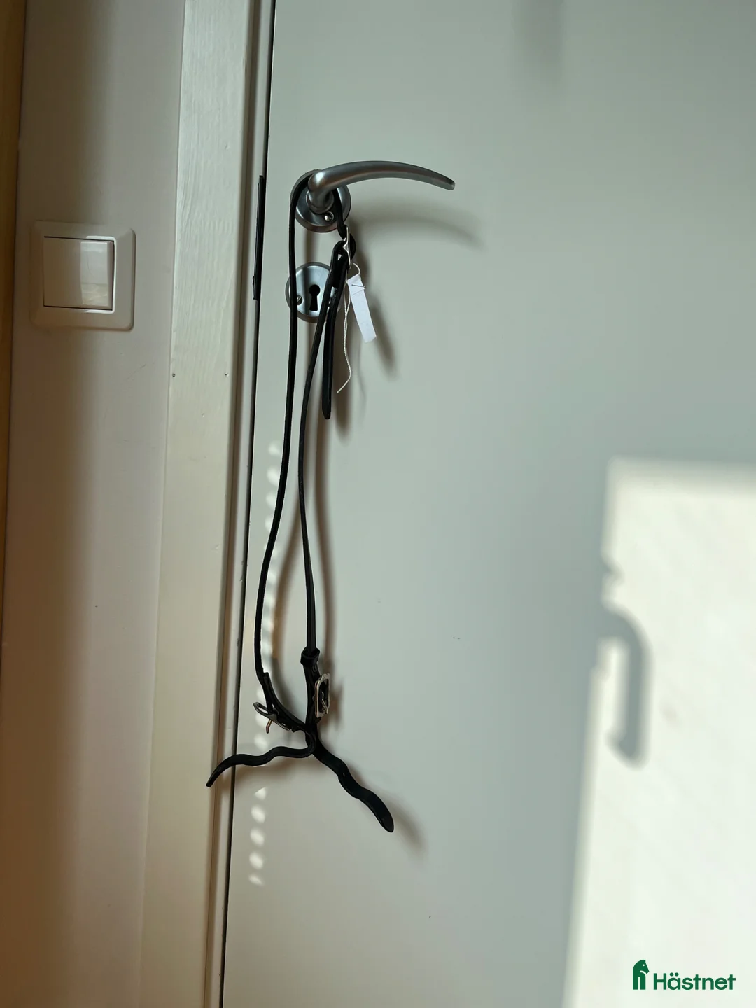 Träns hästutrustning till salu: Huvudlag Top Reiter - Annons 3