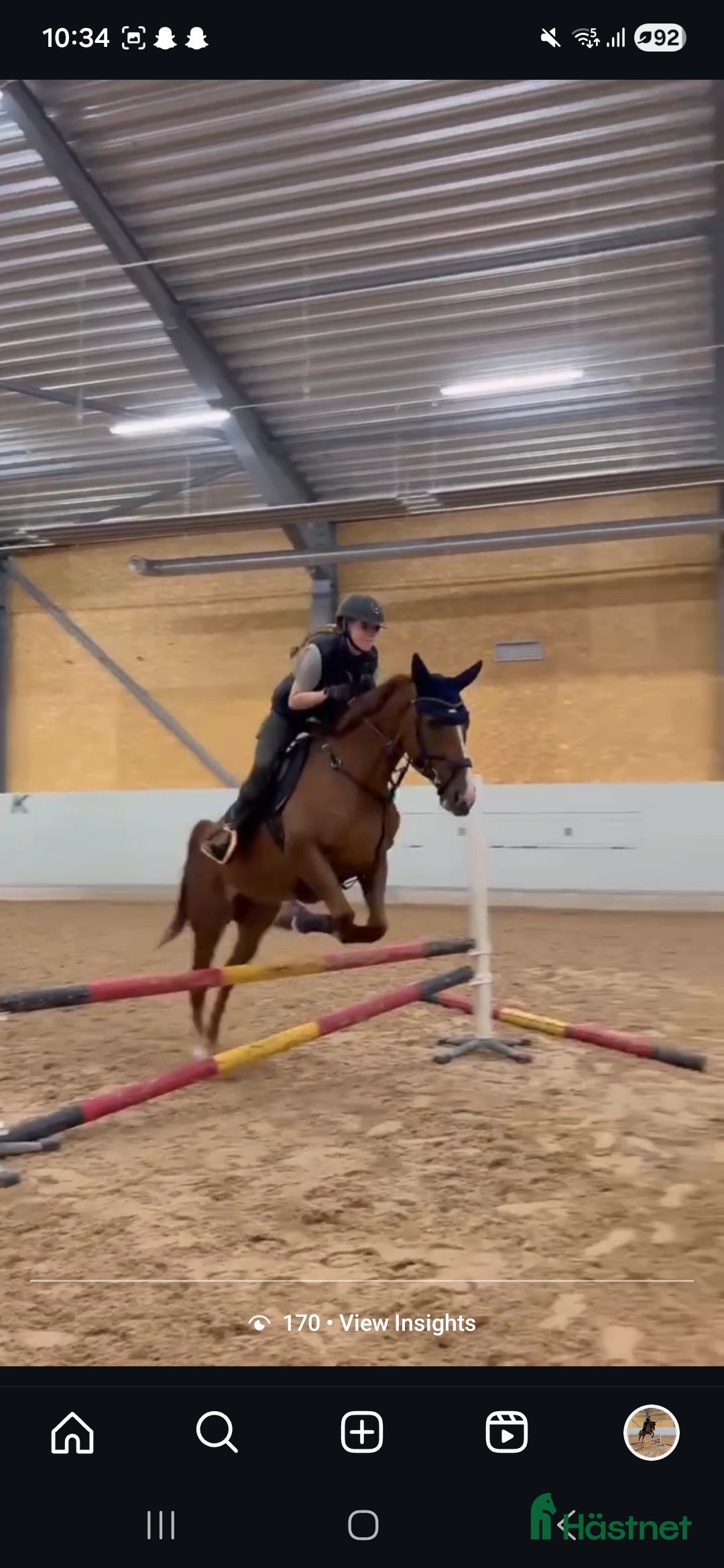  hästar Potential showjumper - Annons 1