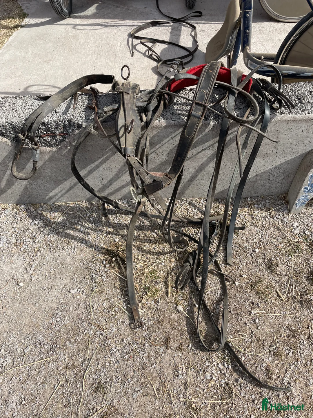 Körvagnar körning till salu: Ponny rockard  - Annons 5