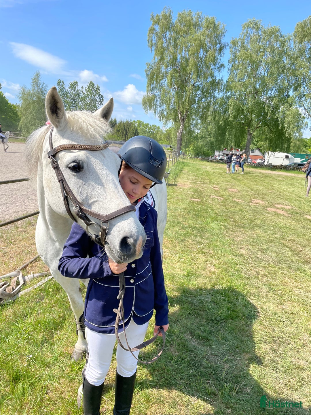 Hoppning hästar till salu: Snäll och rolig C-ponny i Hurva - Annons 6