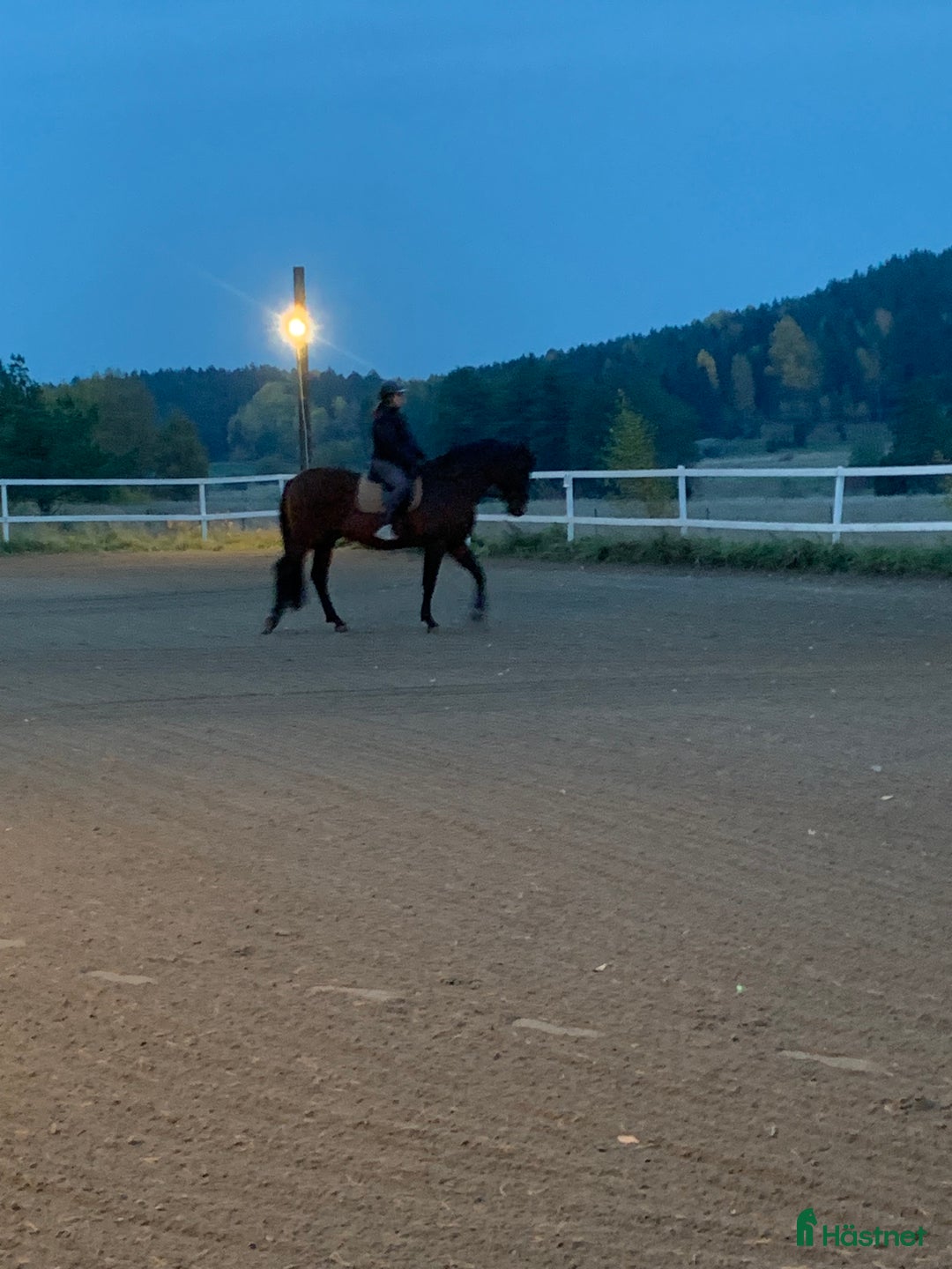  stallplats finnes: Stallplats Brottby  i Vallentuna - Annons 3