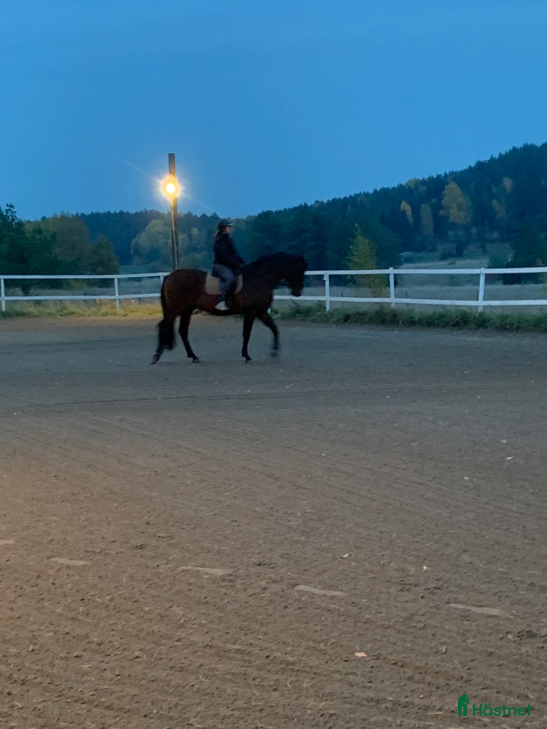  stallplats finnes: Stallplats Brottby  i Vallentuna - Annons 3