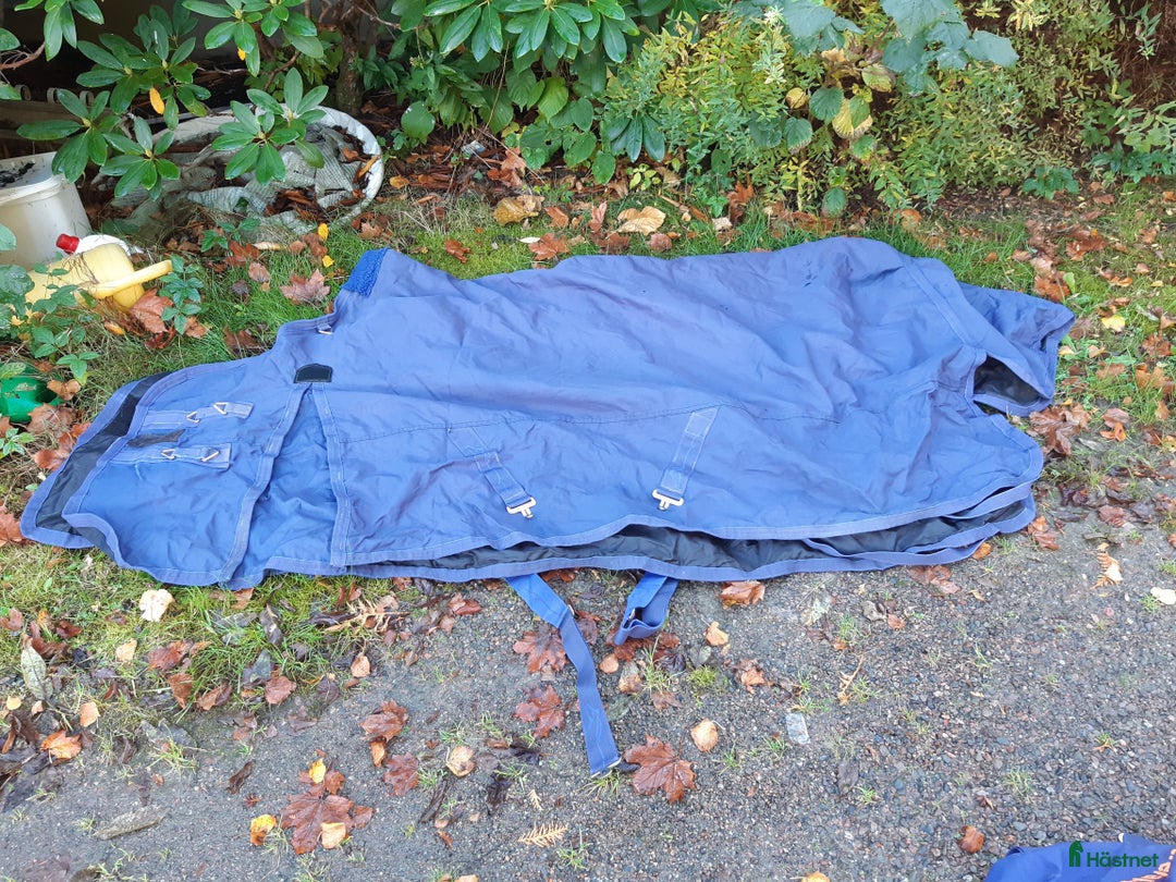 Täcken hästutrustning till salu: Shires stl.145 fodrat 100g i Sollebrunn - Annons 1