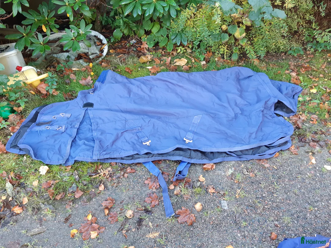 Täcken hästutrustning till salu: Shires stl.145 fodrat 100g i Sollebrunn - Annons 1