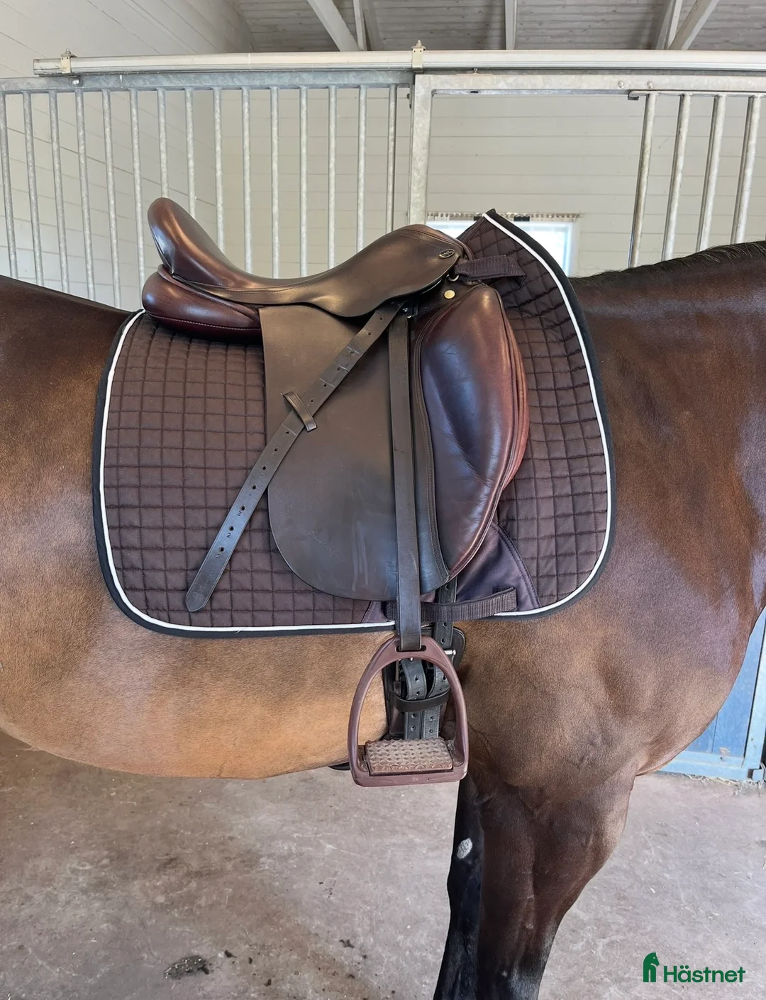 Sadlar hästutrustning till salu: Santa Cruz Roxette  - Annons 1