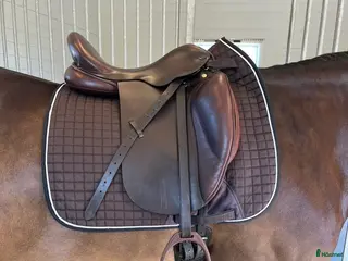 Sadlar hästutrustning till salu: Santa Cruz Roxette - Annons 2