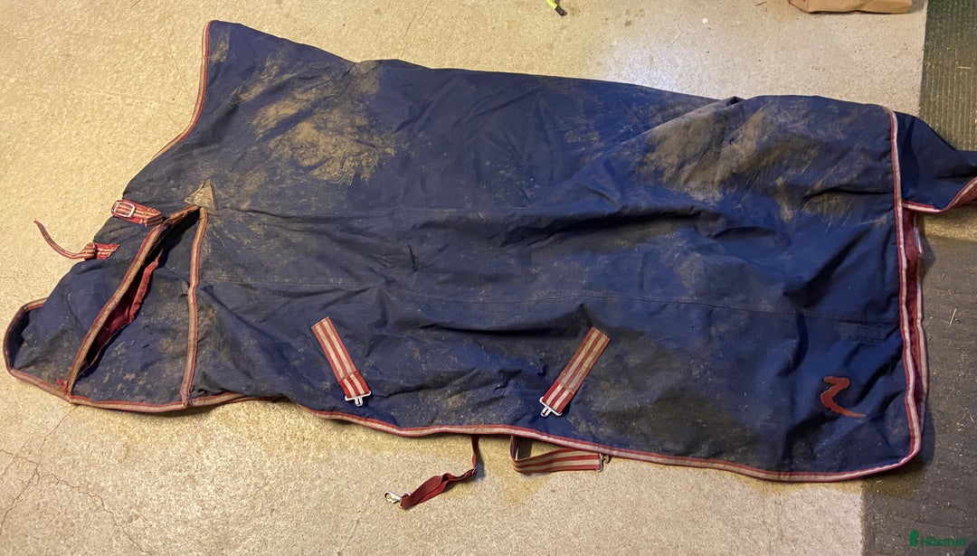 Täcken hästutrustning till salu: Utetäcken strl 155 i Linneryd - Annons 3