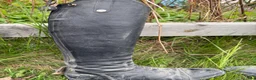 Ridstövlar ryttarutrustning till salu: Horse Life ridstövlar - Annons 3