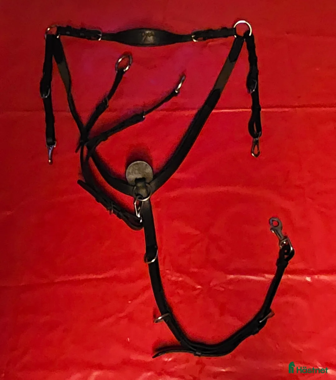 Benskydd hästutrustning till salu: Diverse utrustning  - Annons 6