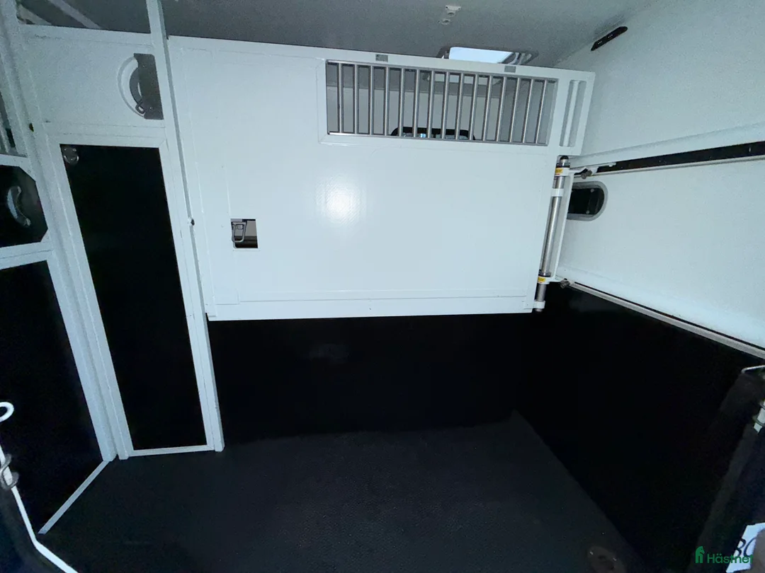 Hästlastbilar  fordon & transport till salu: Reanult Theault Hästlastbil i Kimstad - Annons 4