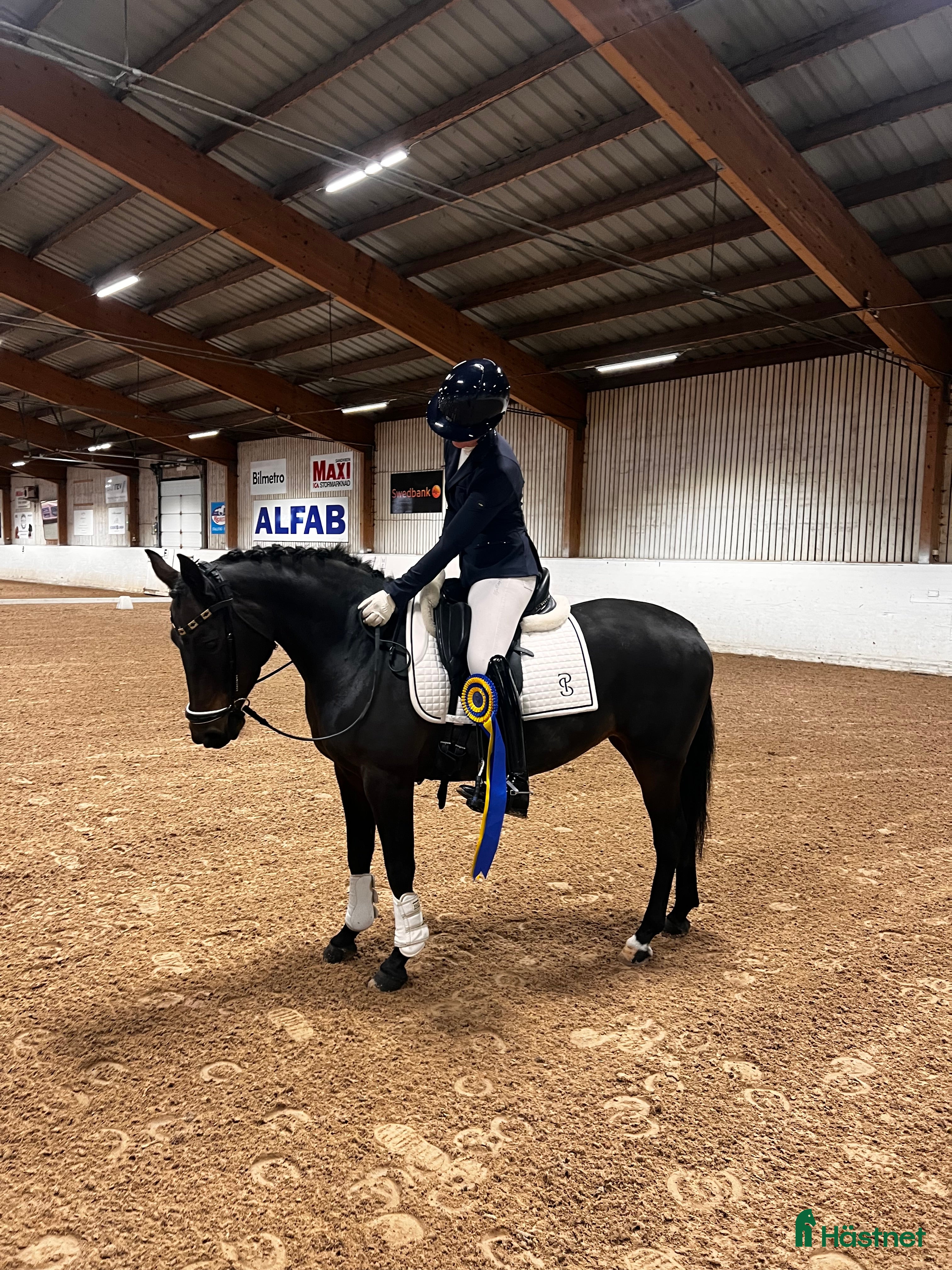  hästar Fin dressyrponny ❤️ - Annons 2