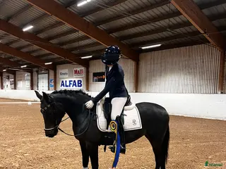 hästar Fin dressyrponny ❤️ - Annons 2