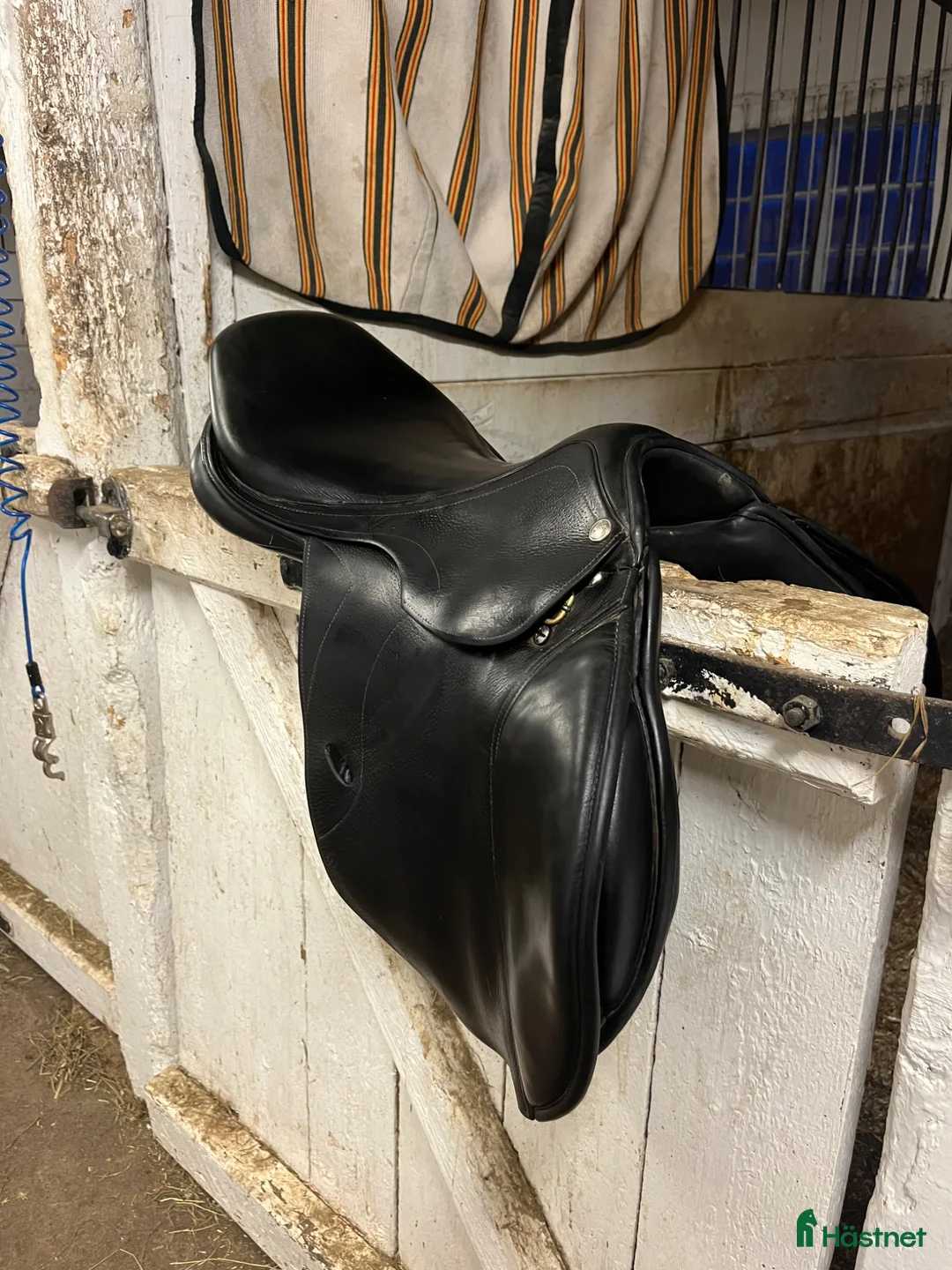 Sadlar hästutrustning till salu: Pessoa Rodrigo - Annons 2