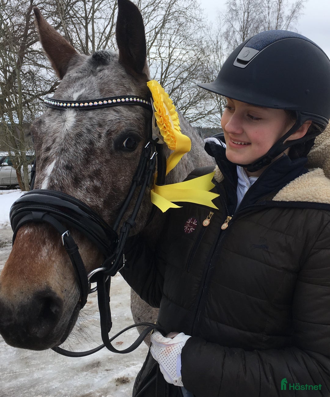 Sällskap hästar till salu: C-ponny utlånas till sällskap i Täby - Annons 2