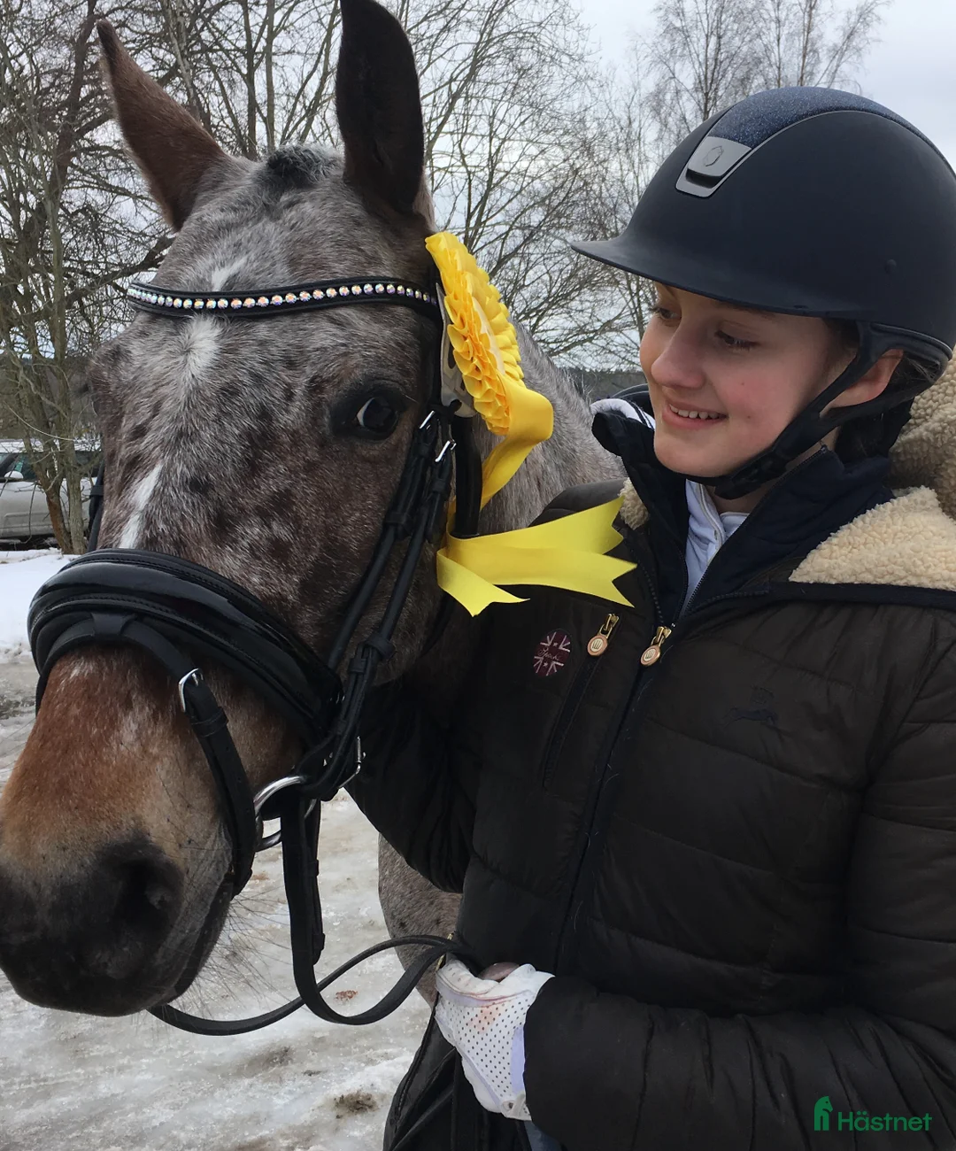 Sällskap hästar till salu: C-ponny utlånas till sällskap i Täby - Annons 2