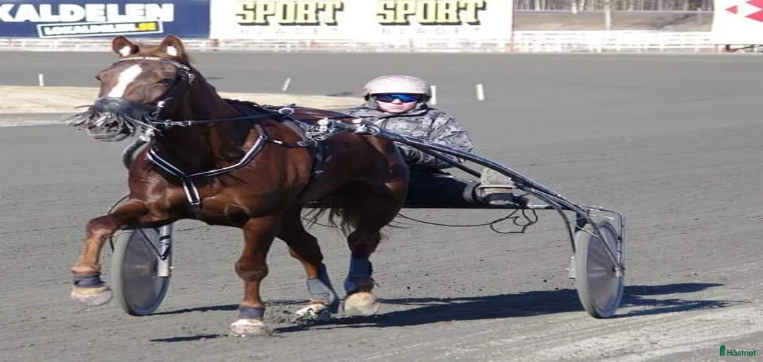 Galleribild {{count}}