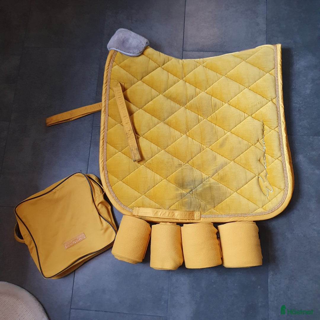 Schabrak & Vojlockar hästutrustning till salu: Eskadron dressyrschabrak inkl lindor Full  i Tranås - Annons 2