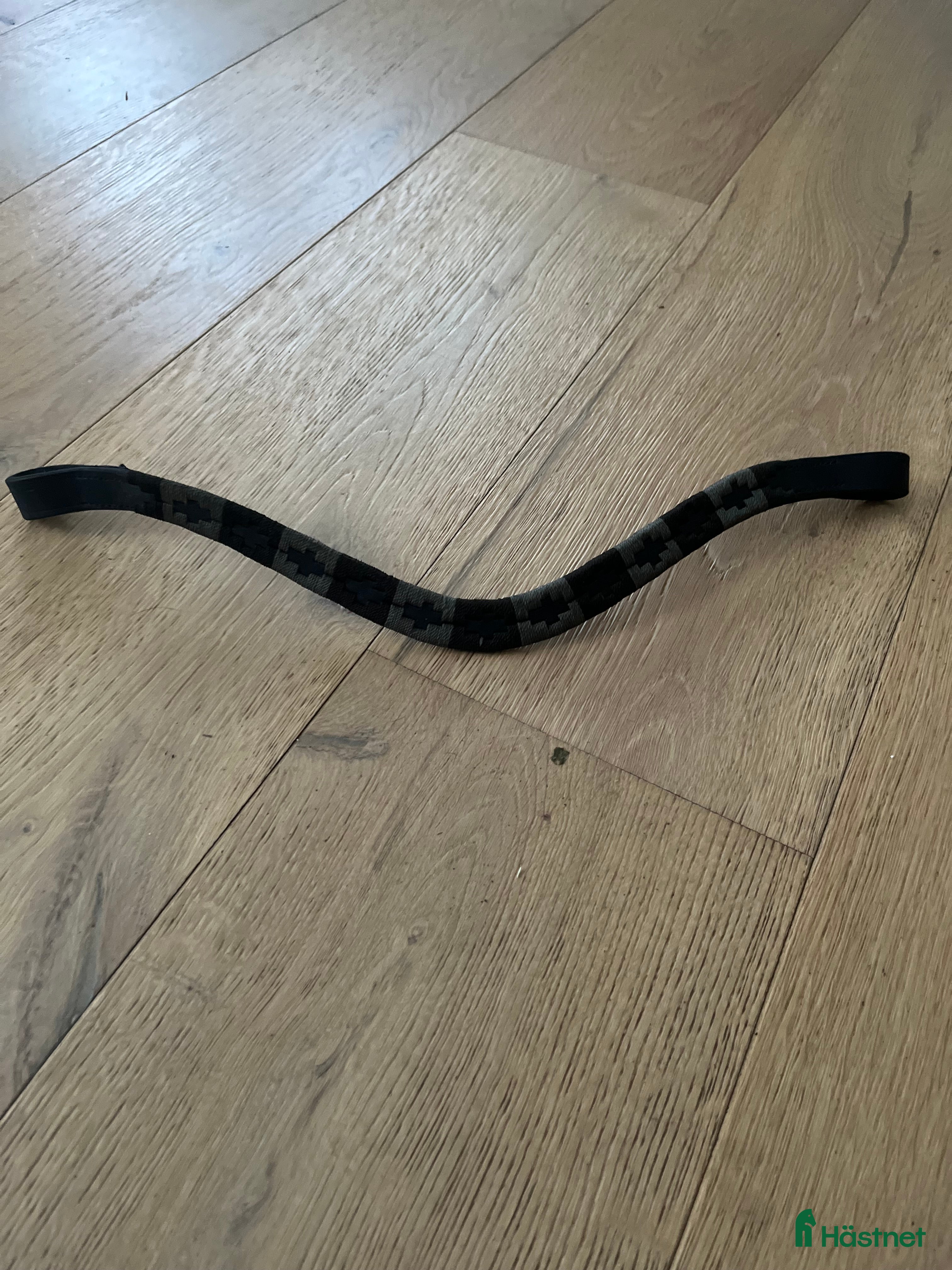 Övrig Hästutrustning hästutrustning Md pannband  i Oskarshamn - Annons 15