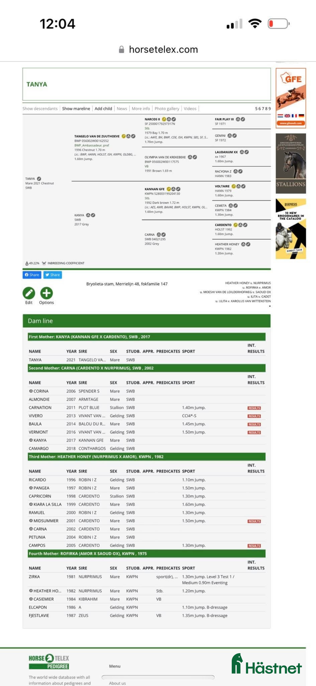 Hoppning hästar till salu: Flera föl och unghästar Tillsalu  i Dösjebro - Annons 3