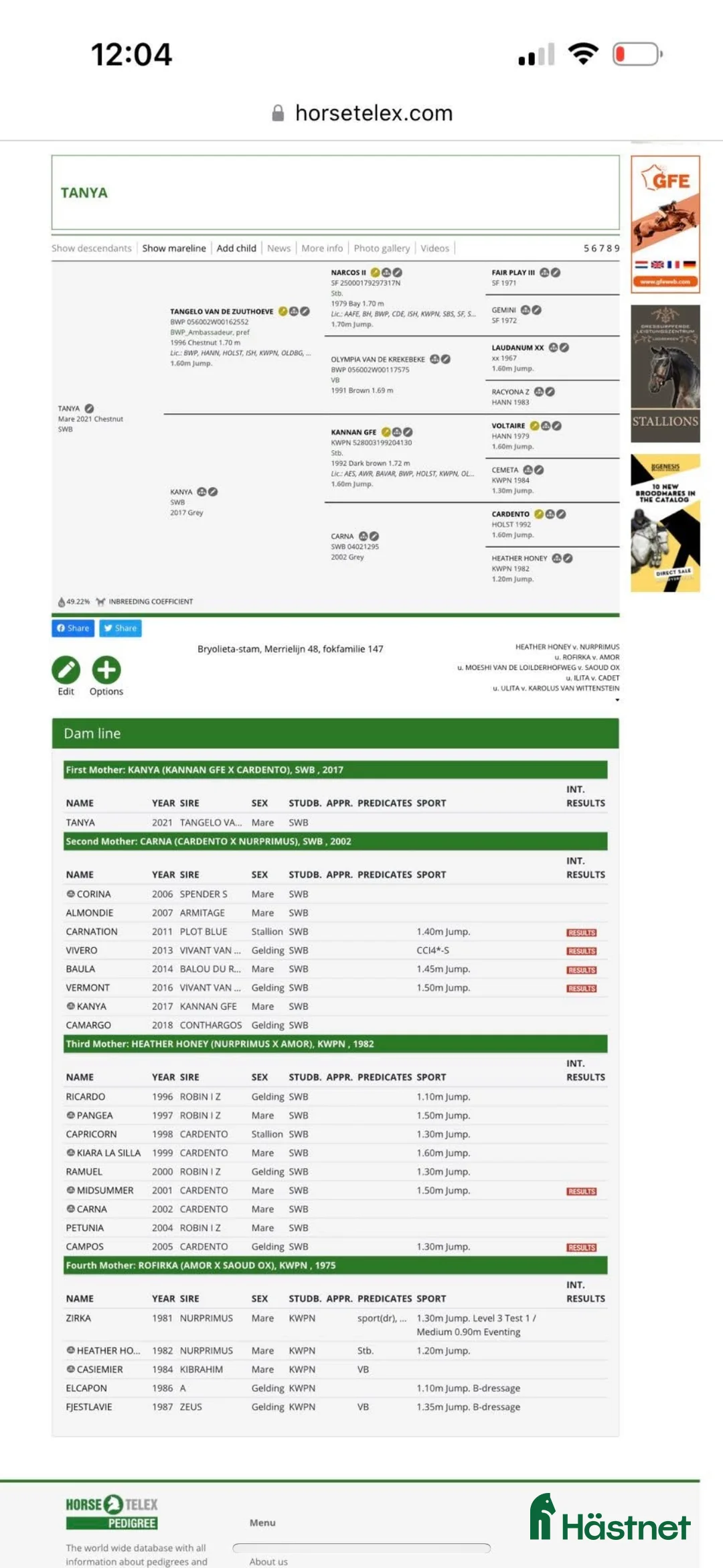 Hoppning hästar till salu: Flera föl och unghästar Tillsalu  i Dösjebro - Annons 3