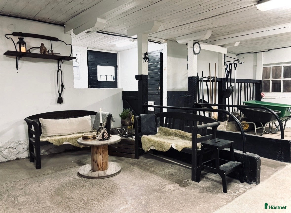  stallplats Stallkamrater sökes inför sommaren 🌻 - Annons 1