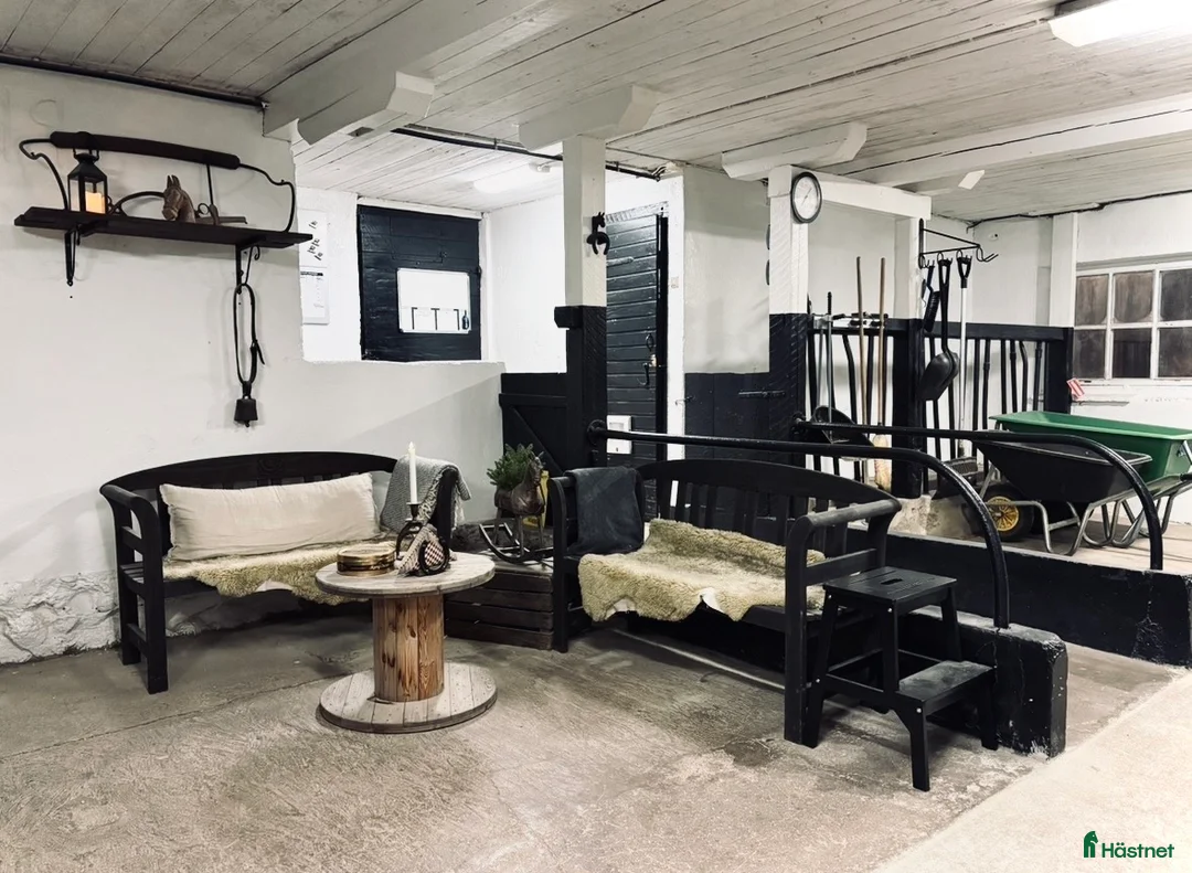  stallplats finnes: Stallkamrater sökes inför sommaren 🌻 - Annons 1