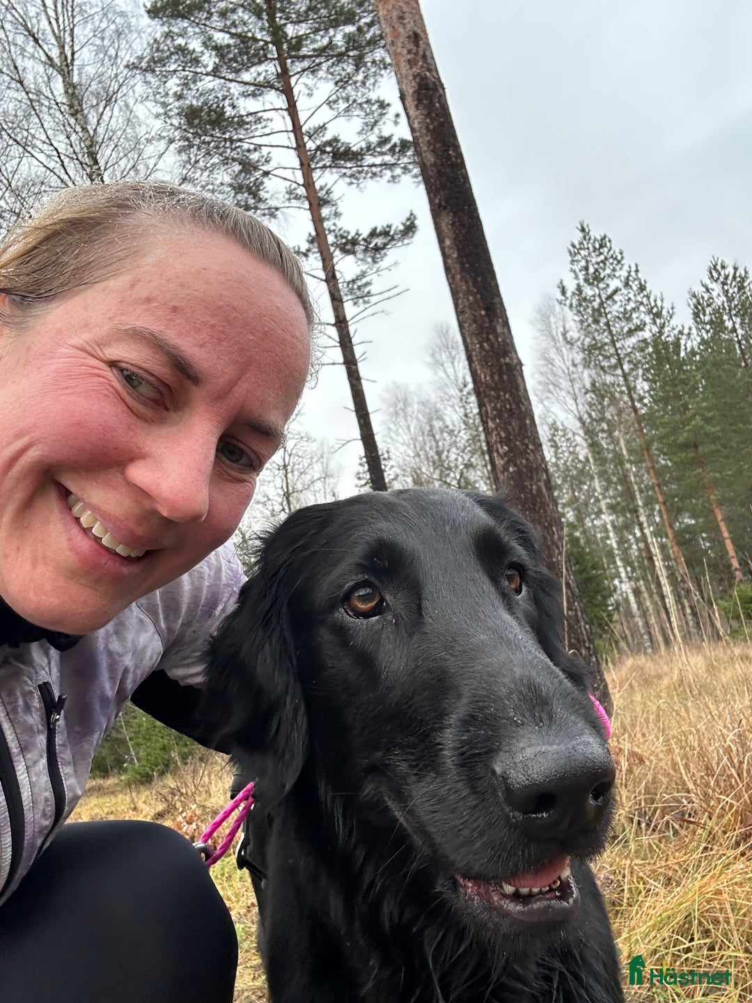 Galleribild {{count}}