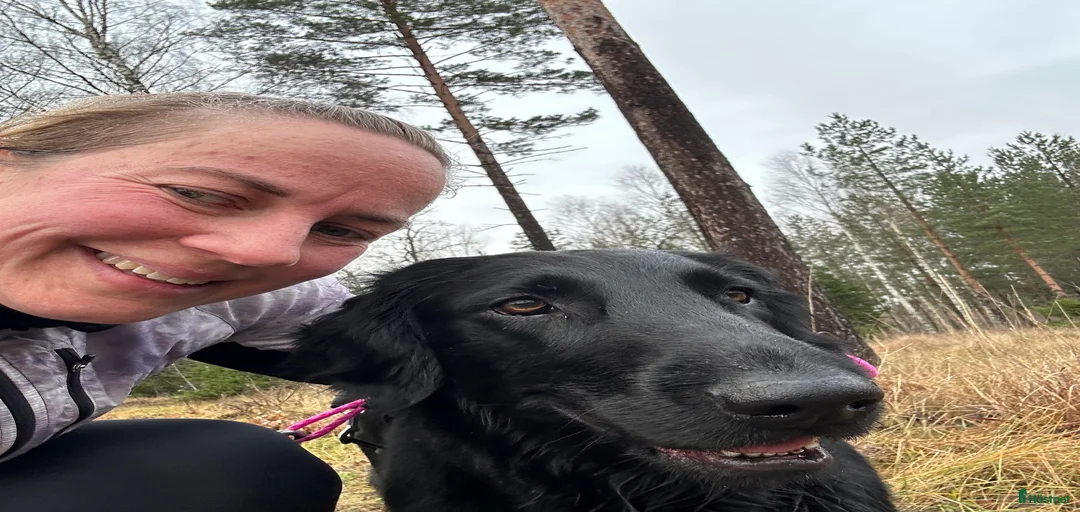 Galleribild {{count}}