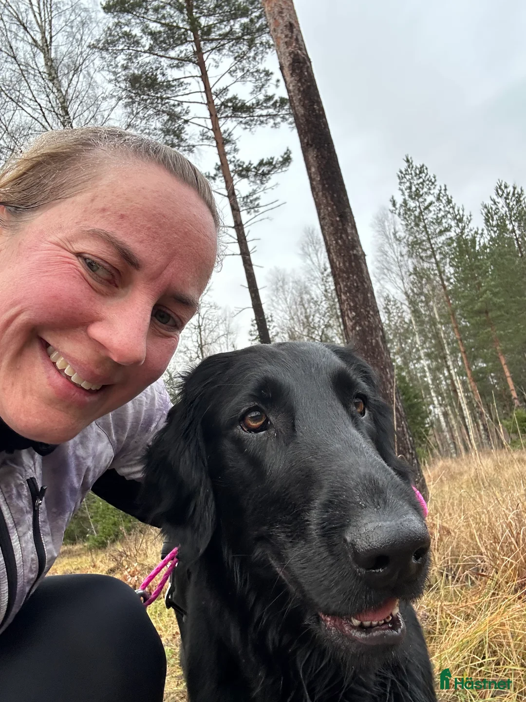 Galleribild {{count}}