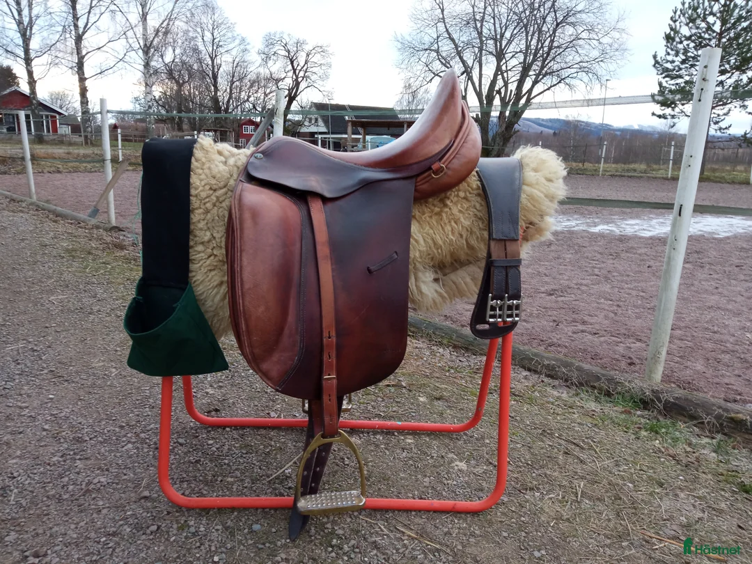 Sadlar hästutrustning till salu: Dominus dressyrsadel - Annons 1