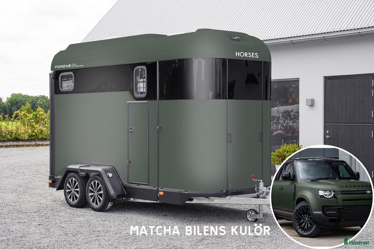 Galleribild {{count}}