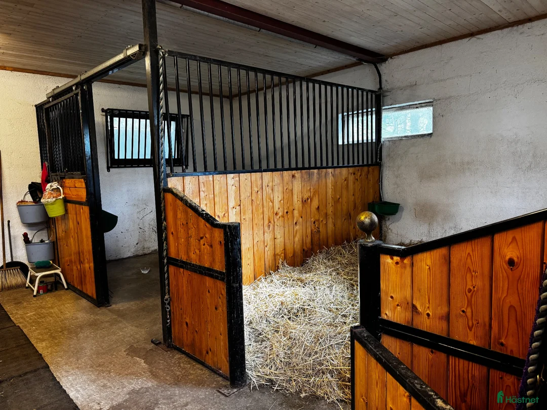  stallplats finnes: Boxplats ledig - Södra Sandby - Annons 2