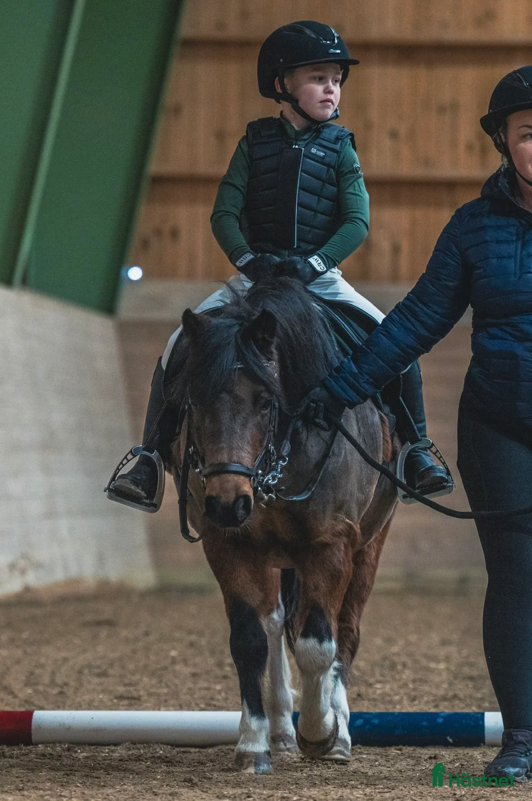 Allround hästar till salu: Den ultimata barnponnyn  - Annons 2