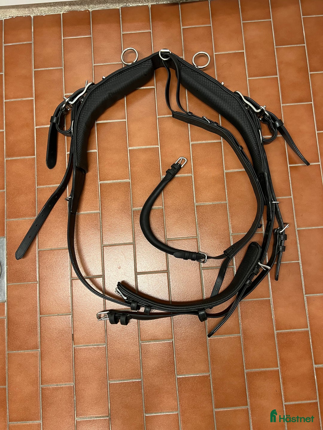 Körselar körning till salu: Sele / Maratonsele mkt bra skick  i Stockholm - Annons 8