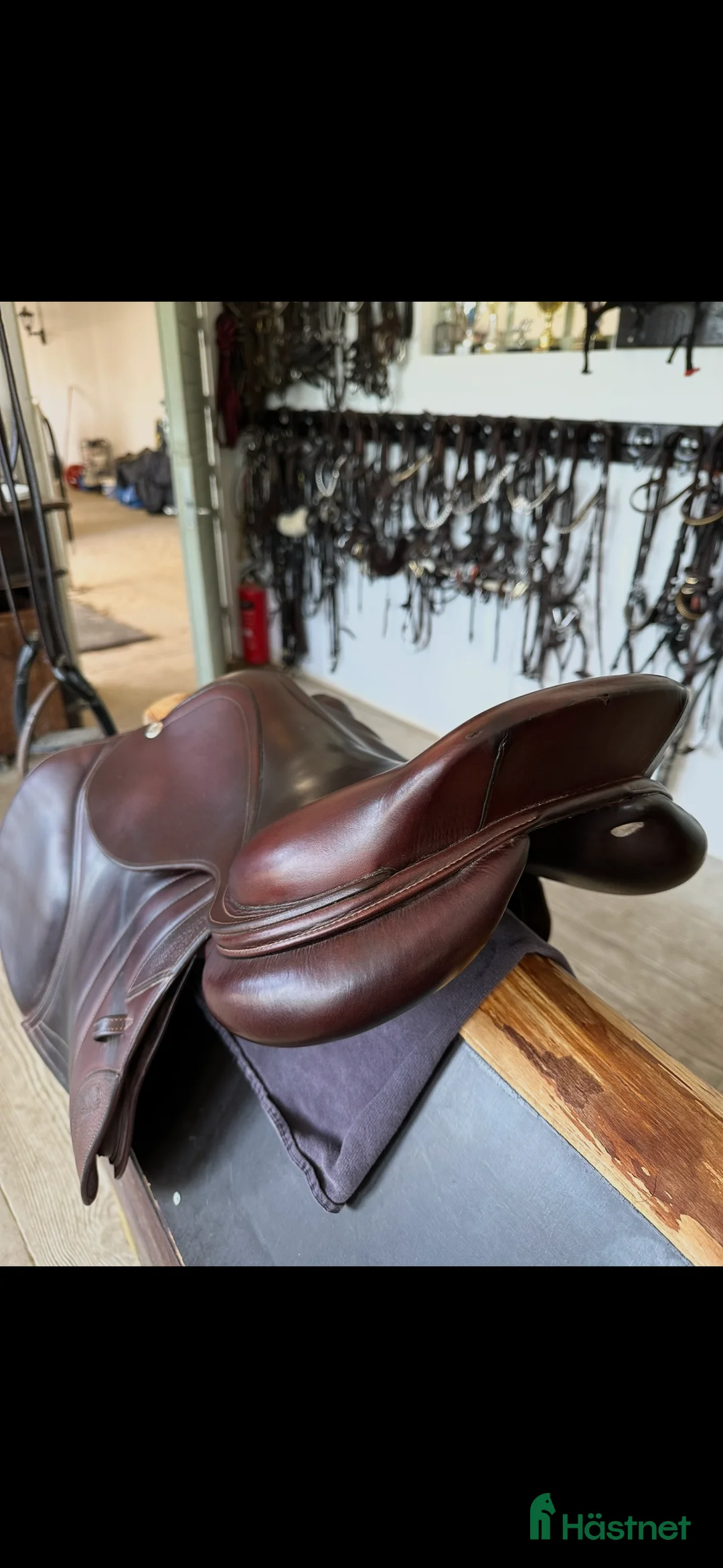 Sadlar hästutrustning till salu: Cwd SE02 sadel!! i Ekerö - Annons 4
