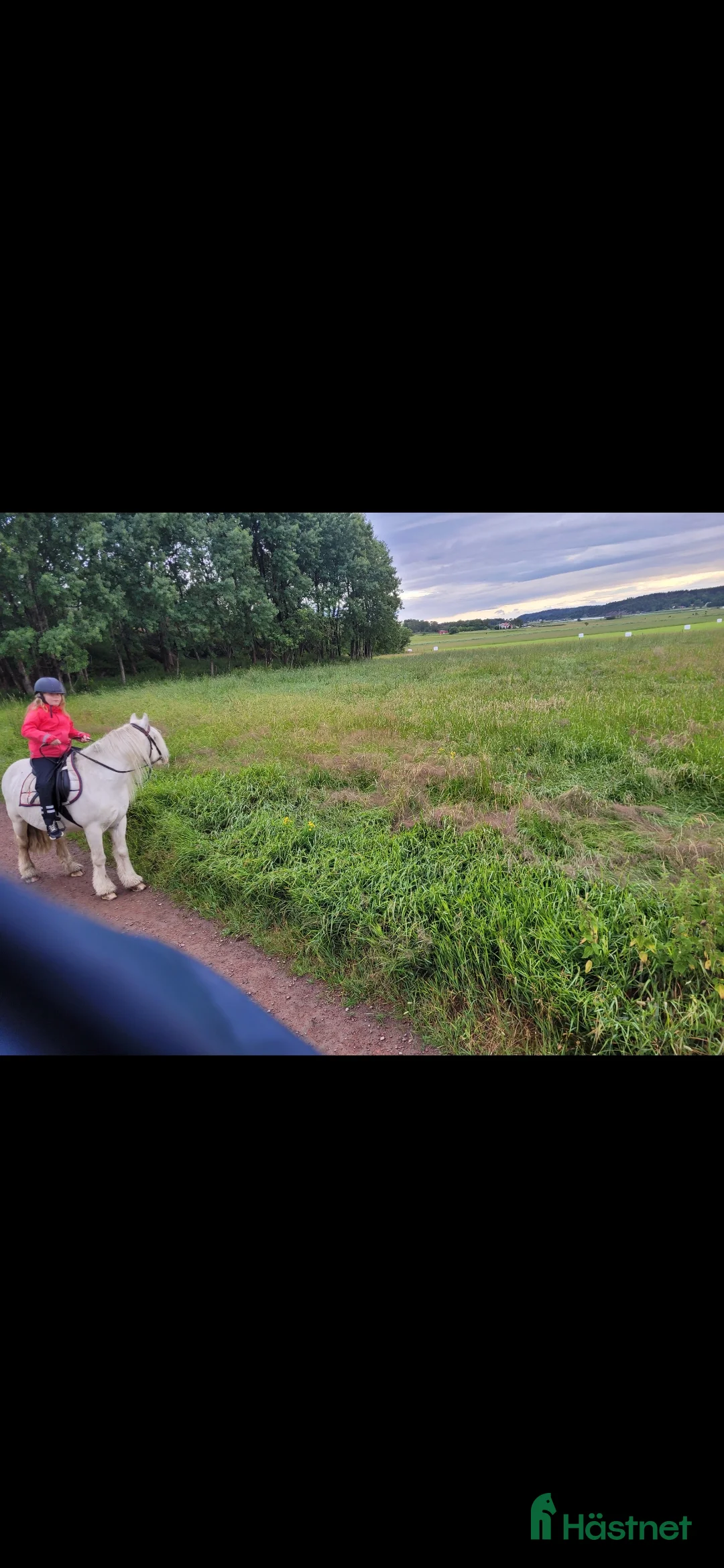 Övrigt hästar till salu: Supertrygg b ponny, även är lämplig för verksamhet i Säve - Annons 5