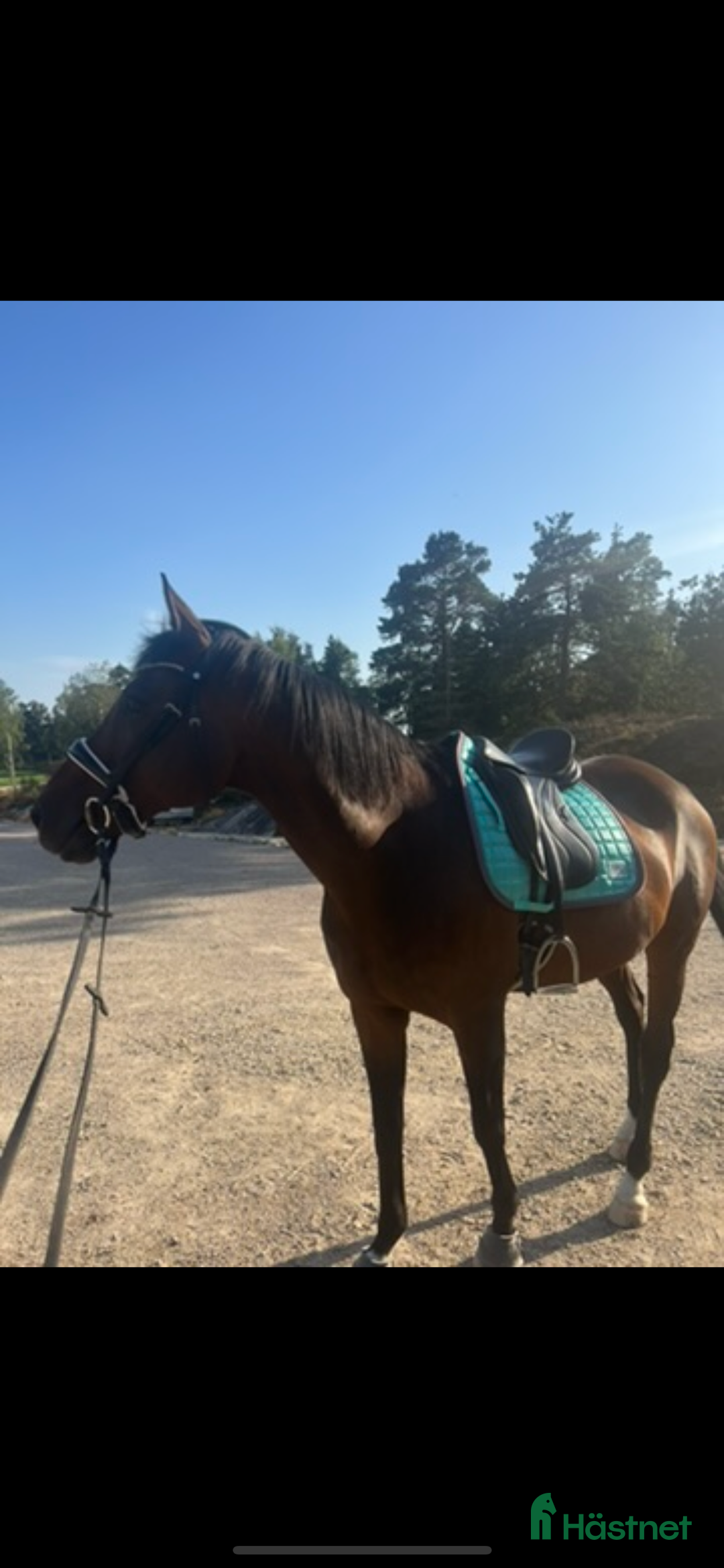 Sadlar hästutrustning till salu: Jätte fin sadel i Henån - Annons 2