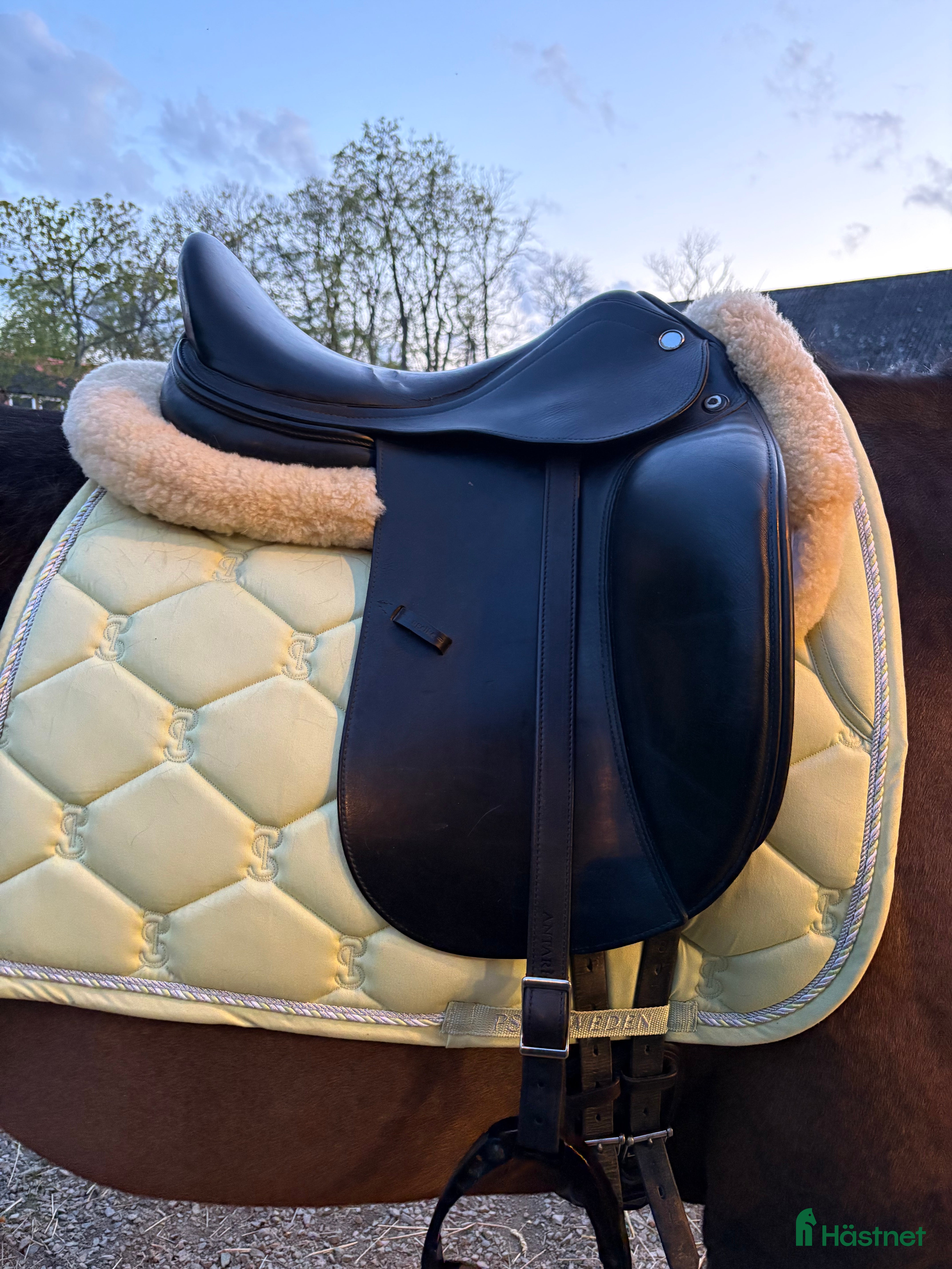 Sadlar hästutrustning till salu: Prestige D1 Dressyr - Annons 3