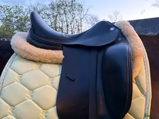 Sadlar hästutrustning till salu: Prestige D1 Dressyr - Annons 3