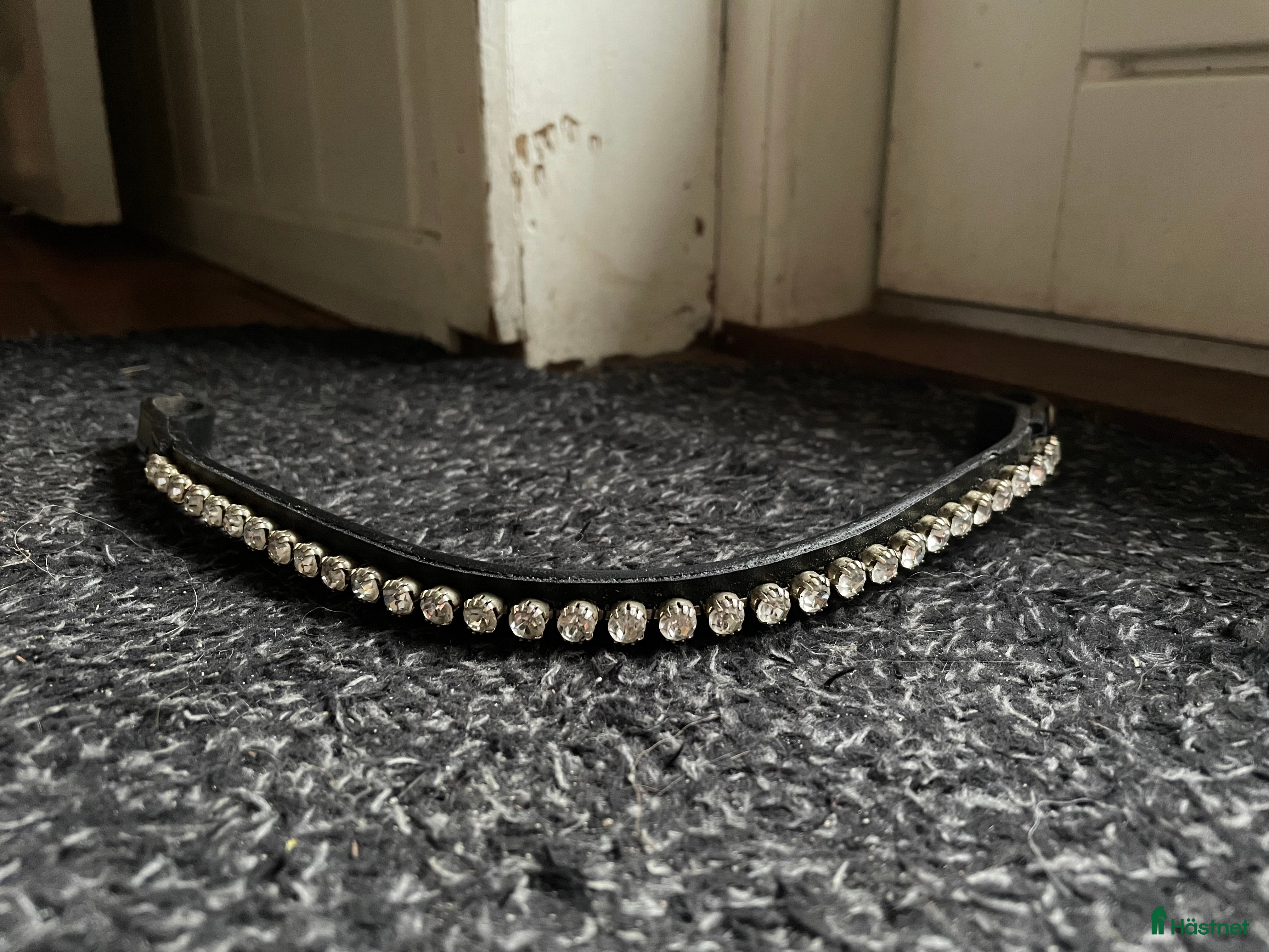 Träns hästutrustning till salu: Oanvänt pannband💕 i Blentarp - Annons 24