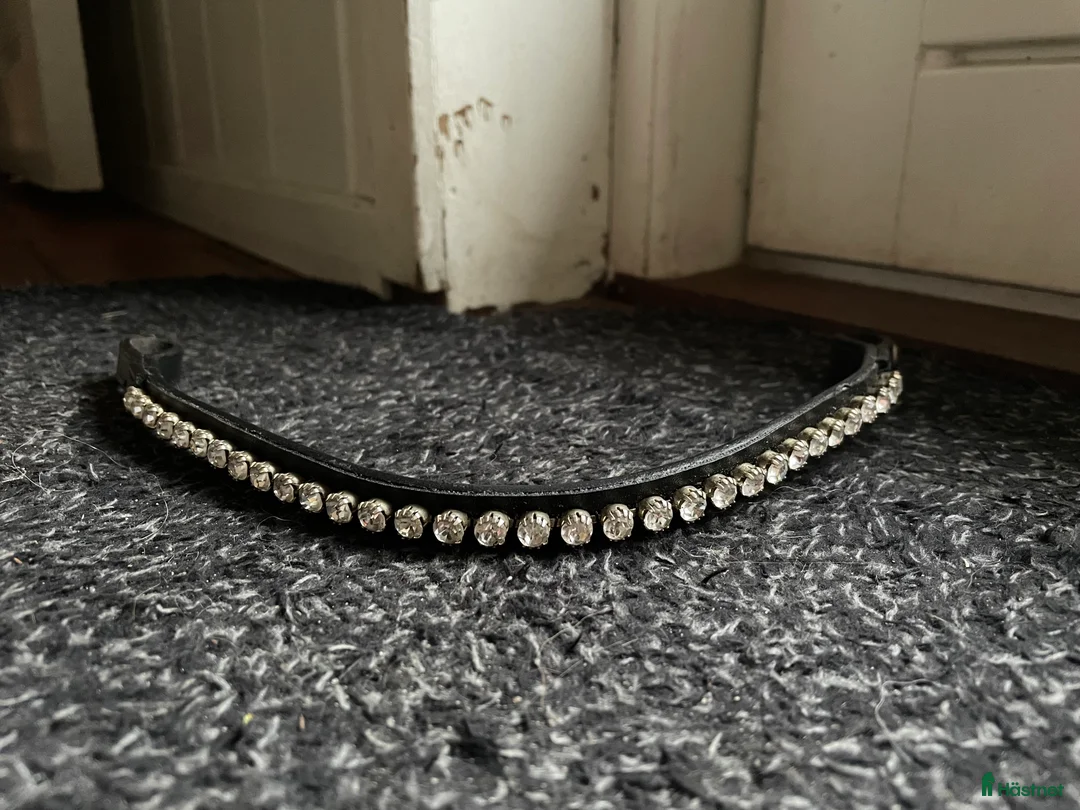 Träns hästutrustning till salu: Oanvänt pannband💕 - Annons 1